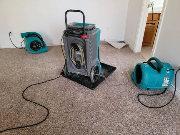 Best Water damage restoration near me  in Leeds, AL