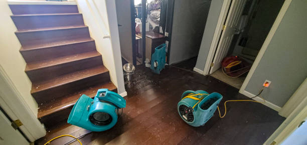 Best Basement water damage restoration  in Leeds, AL