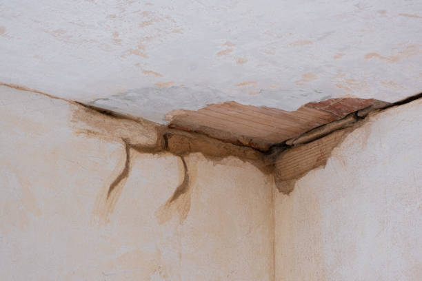 Best Water damage restoration insurance claims  in Leeds, AL