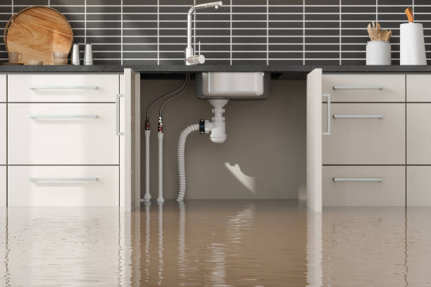Best Ceiling water damage repair  in Leeds, AL