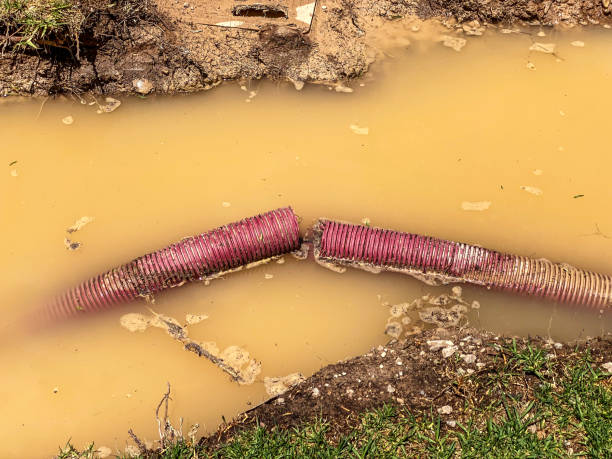 Best Water damage repair service  in Leeds, AL